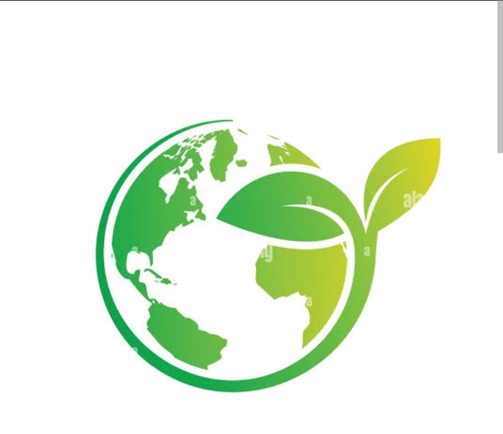 IGST Refund claim process against Manual Shipping Bills