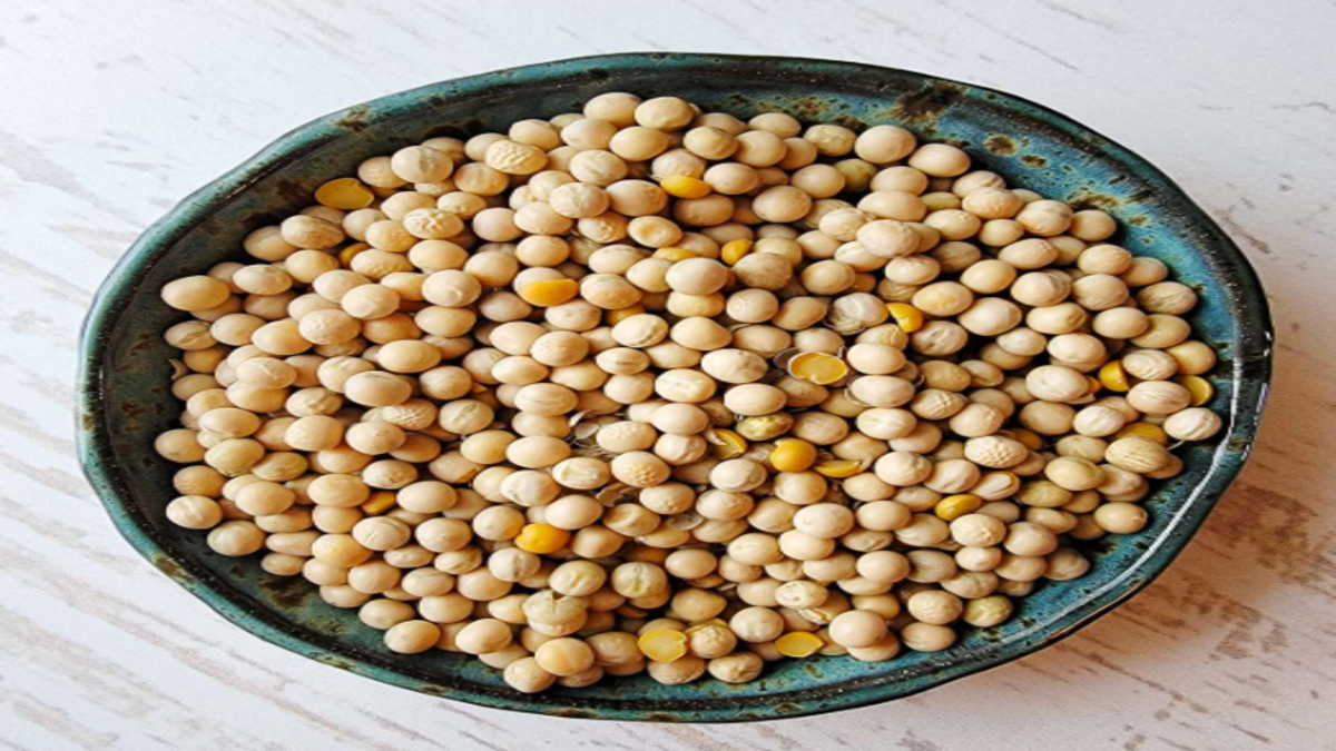 DGFT Extends Import Period for Yellow Peas Under ITC (HS) Code 07131010 Until March 2027