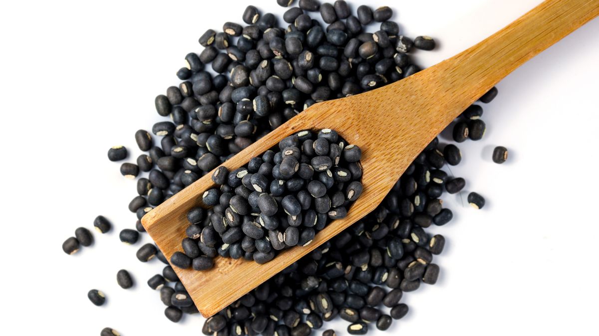 Extension of “Free” Import Policy for Urad Beans Until March 31, 2027