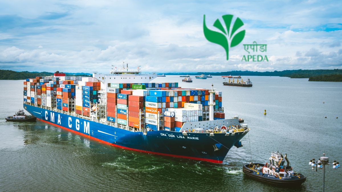 Temporary Increase of Official Controls and Emergency Measures for Indian Agricultural Exports to the European Union