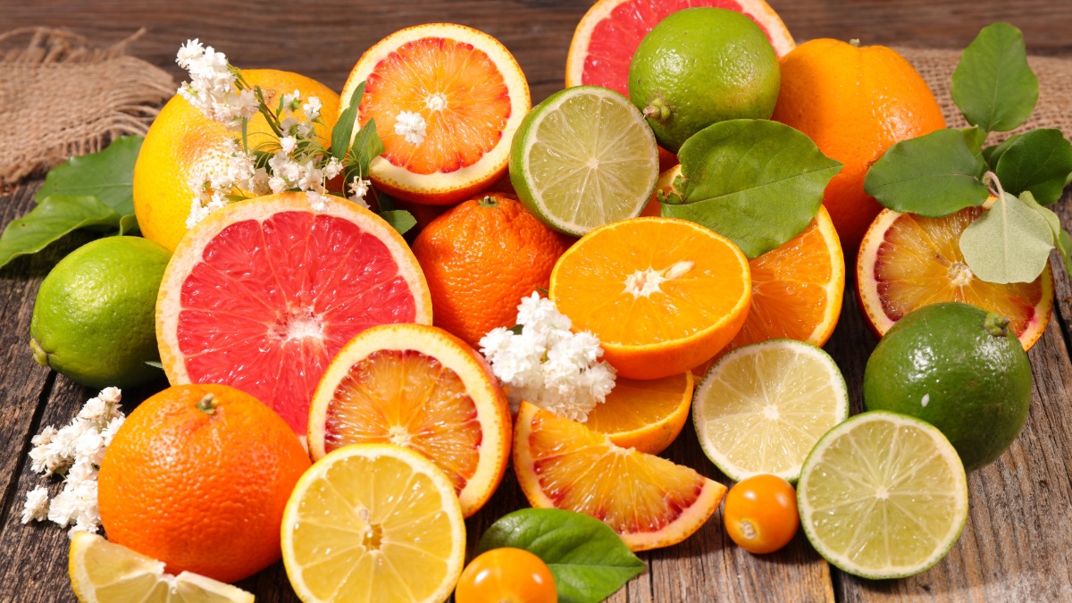 India Updates Import Conditions for Citrus Fruits from South Africa